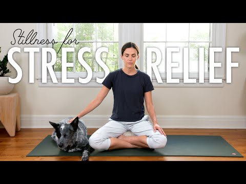 Stillness For Stress Relief | 15-Minute Meditation | Yoga With Adriene