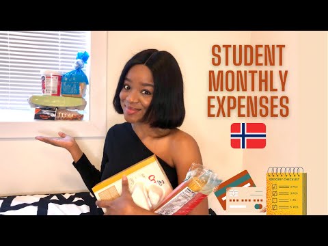 Student in Norway Monthly Expenses (Groceries &amp; More!) | Cost of living in Norway &amp; Study for FREE