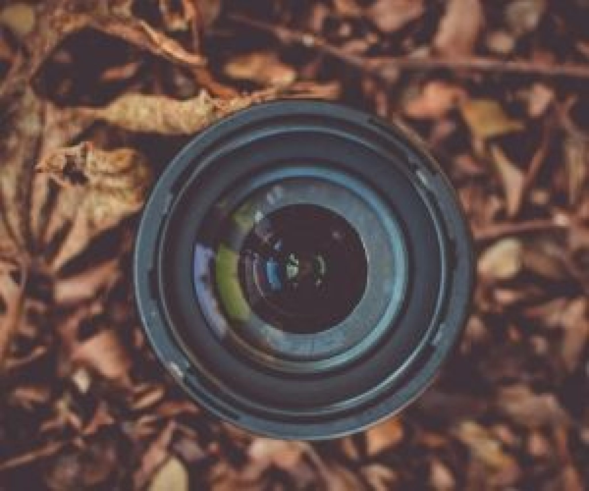 10 Best Cameras for Gaming and Streaming in 2024 Vlogtribe