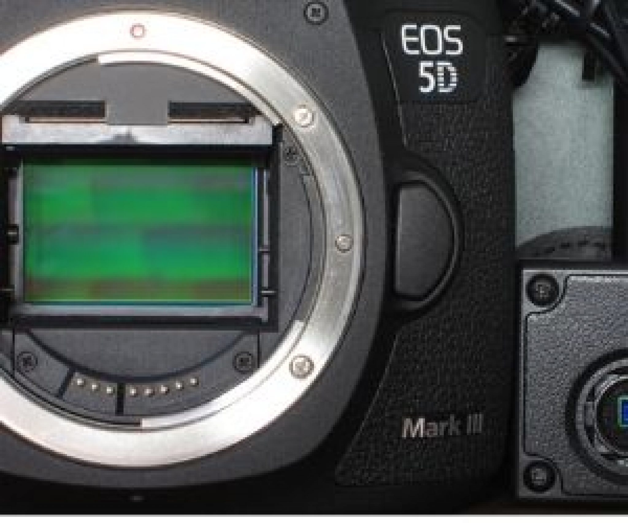 Camcorder vs. DSLR Best for Vlogging Vlogtribe